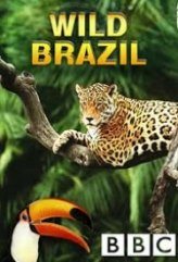 Vahşi Brezilya