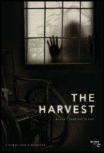 Hasat – The Harvest